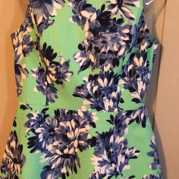 Fit to Flare J Crew Dress - Picture 6 of 16